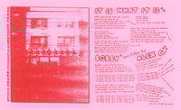 Image 3 of Spirit Desire—"Houndstooth Promo" CS (3rd press)