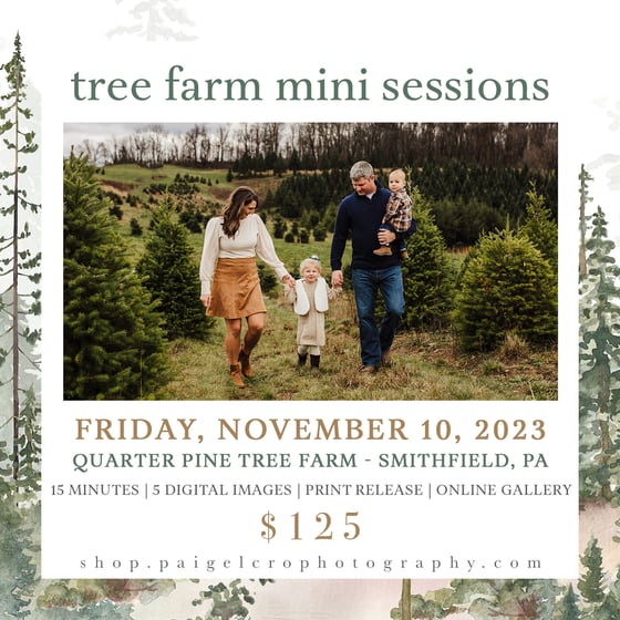 Image of Tree Farm Mini Sessions