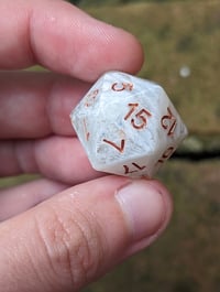 Image 3 of Paladin's Promise Standard D20 Single