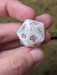 Image 2 of Paladin's Promise Standard D20 Single