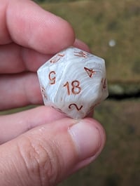 Image 4 of Paladin's Promise Standard D20 Single