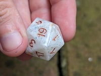 Image 5 of Paladin's Promise Standard D20 Single