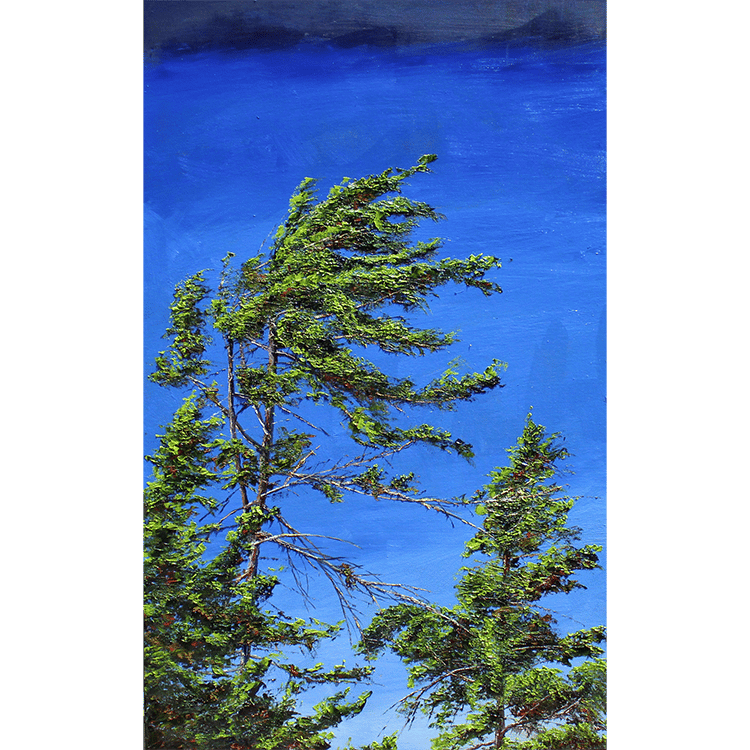 when-you-look-up-jamie-maclean-fine-art