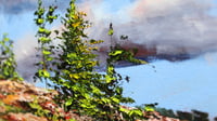 Image 4 of - Killarney Point -