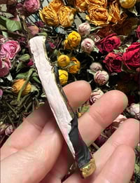 Image 4 of Roots of the Rose