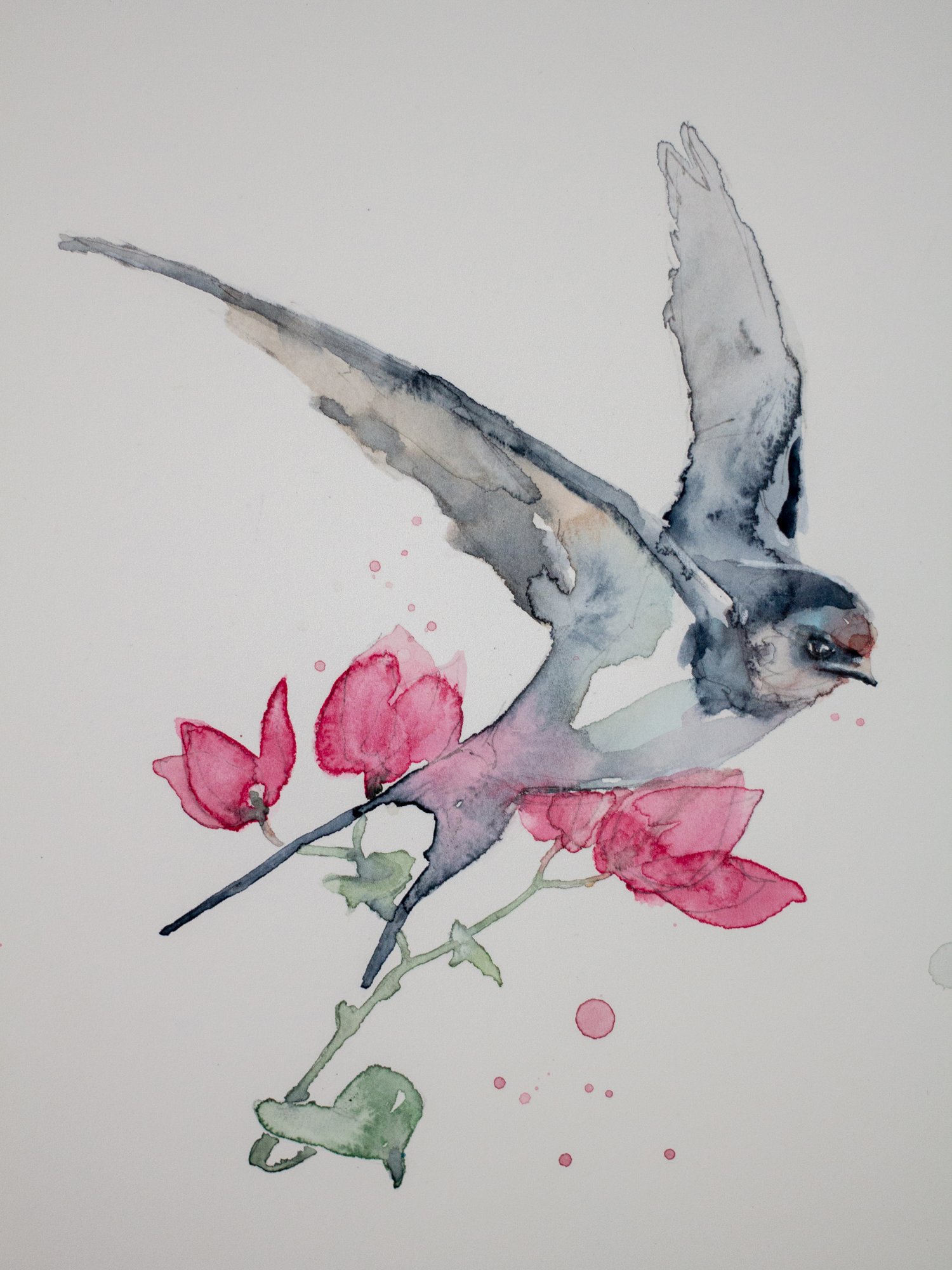 Agnes-Cecile bougainvillea and bird study I (17x25 cm) 