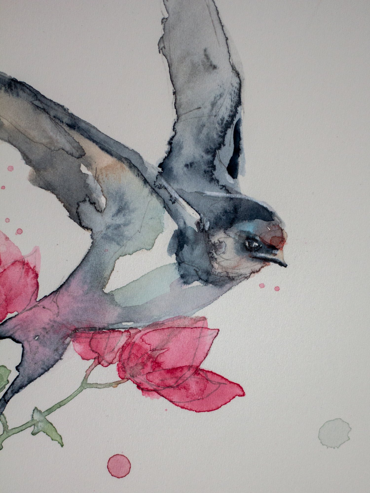 Agnes-Cecile bougainvillea and bird study I (17x25 cm) 