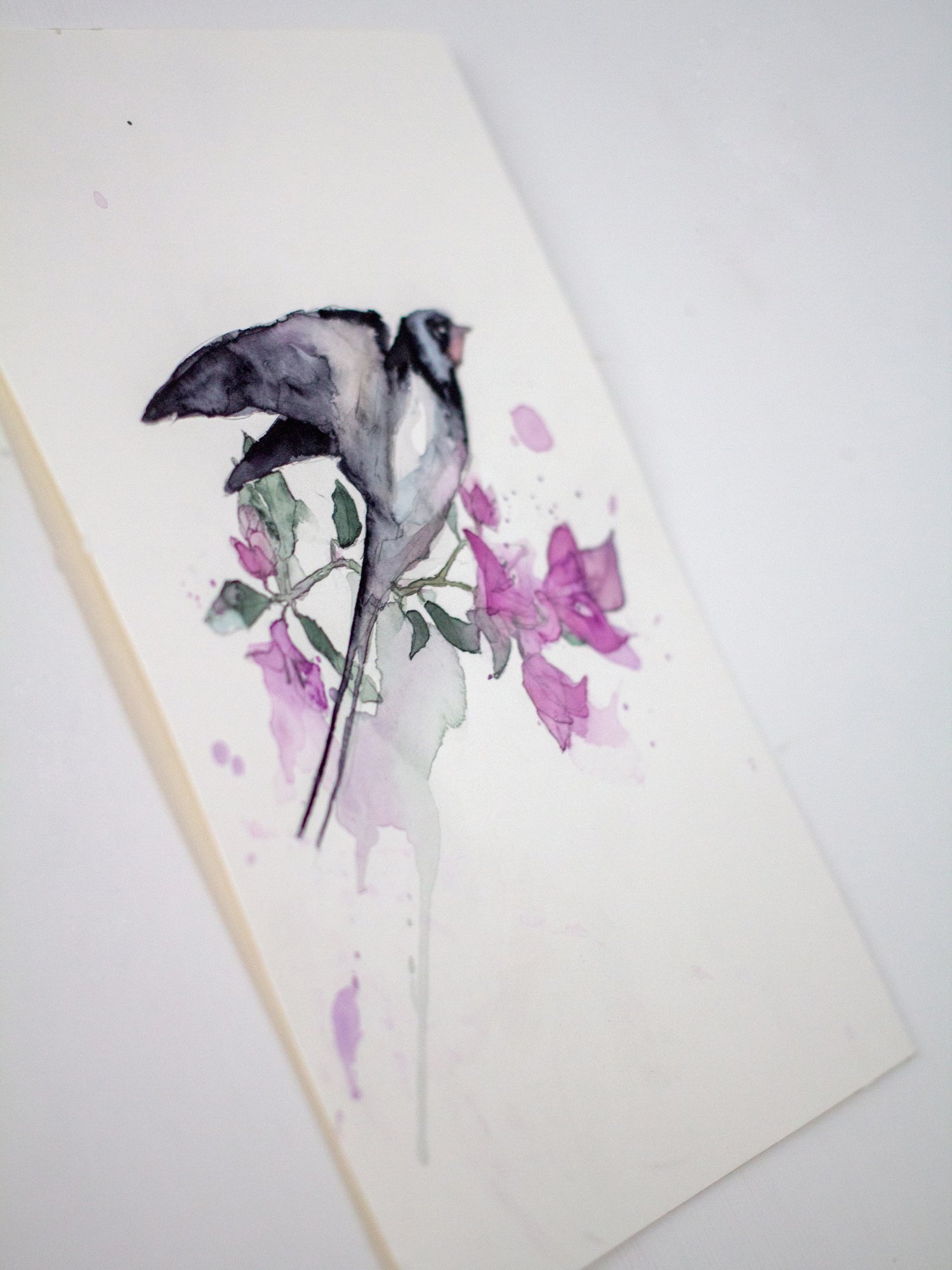 Agnes-Cecile bougainvillea and bird study II (17x25 cm)