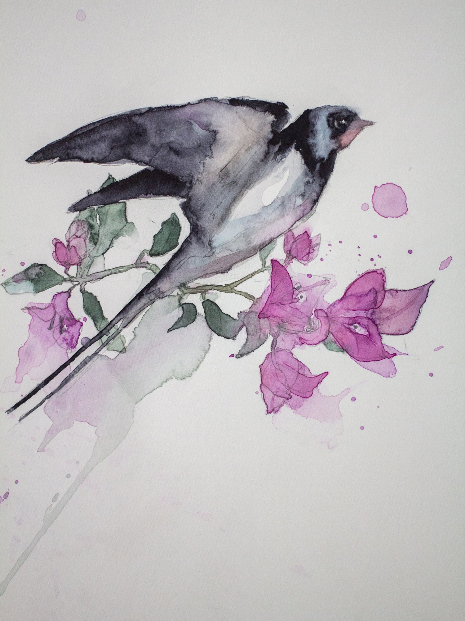 Agnes-Cecile bougainvillea and bird study II (17x25 cm)