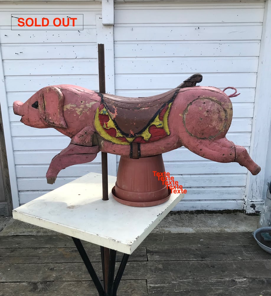 Image of Cochon de manège en bois polychrome début XXè siècle