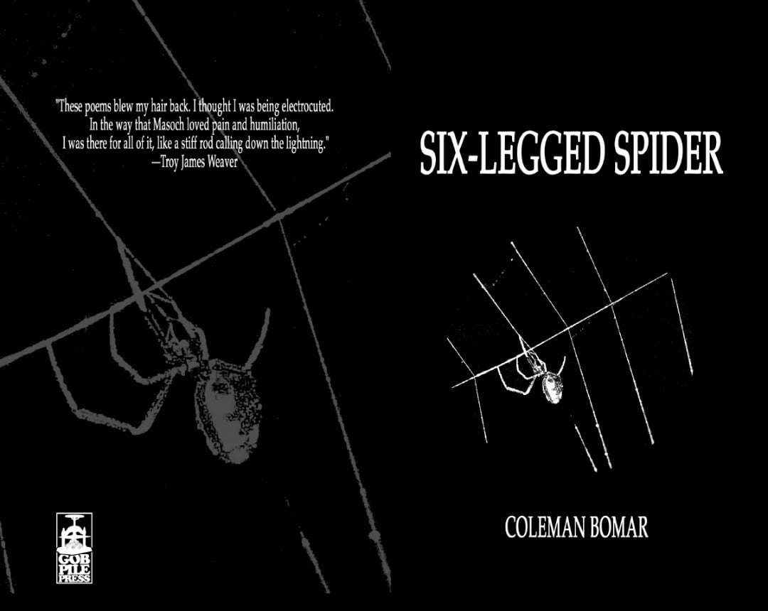 Image of SIX-LEGGED SPIDER by Coleman Bomar