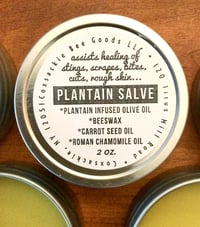 Image 3 of Plantain Salve