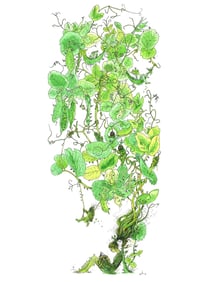 Image 1 of Pythias - LARGE PRINT *DECKLE EDGES