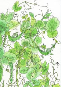 Image 4 of Pythias - LARGE PRINT *DECKLE EDGES