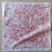 Image 2 of Bath Hankie