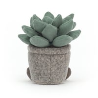 Image 3 of Silly Succulent Azulita