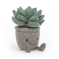 Image 1 of Silly Succulent Azulita