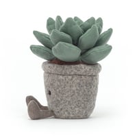 Image 2 of Silly Succulent Azulita
