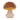 Amuseable Toadstool