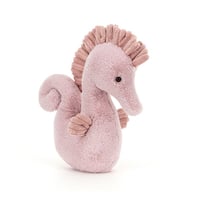 Image 1 of Sienna Seahorse
