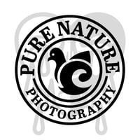 Image 1 of Pure Nature (PREMADE DESIGN)