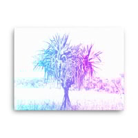 Pandanus Canvas Print