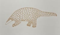 Image 2 of Pangolin Print