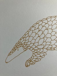Image 3 of Pangolin Print