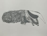 Image 2 of Anteater Print 