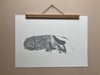 Anteater Print 