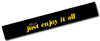 Just Enjoy It All Windshield Banner