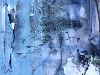 Image 5 of Blue Magic