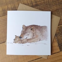 Wolf Snoozes