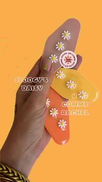 Image 1 of SLOOGY’ S DAISY 