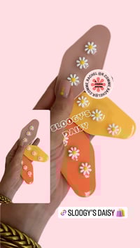 Image 2 of SLOOGY’ S DAISY 