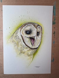 Image 2 of Laughing Barn owl (framed original) 