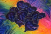 Image 3 of The Bay Has My Heart in Indigo 