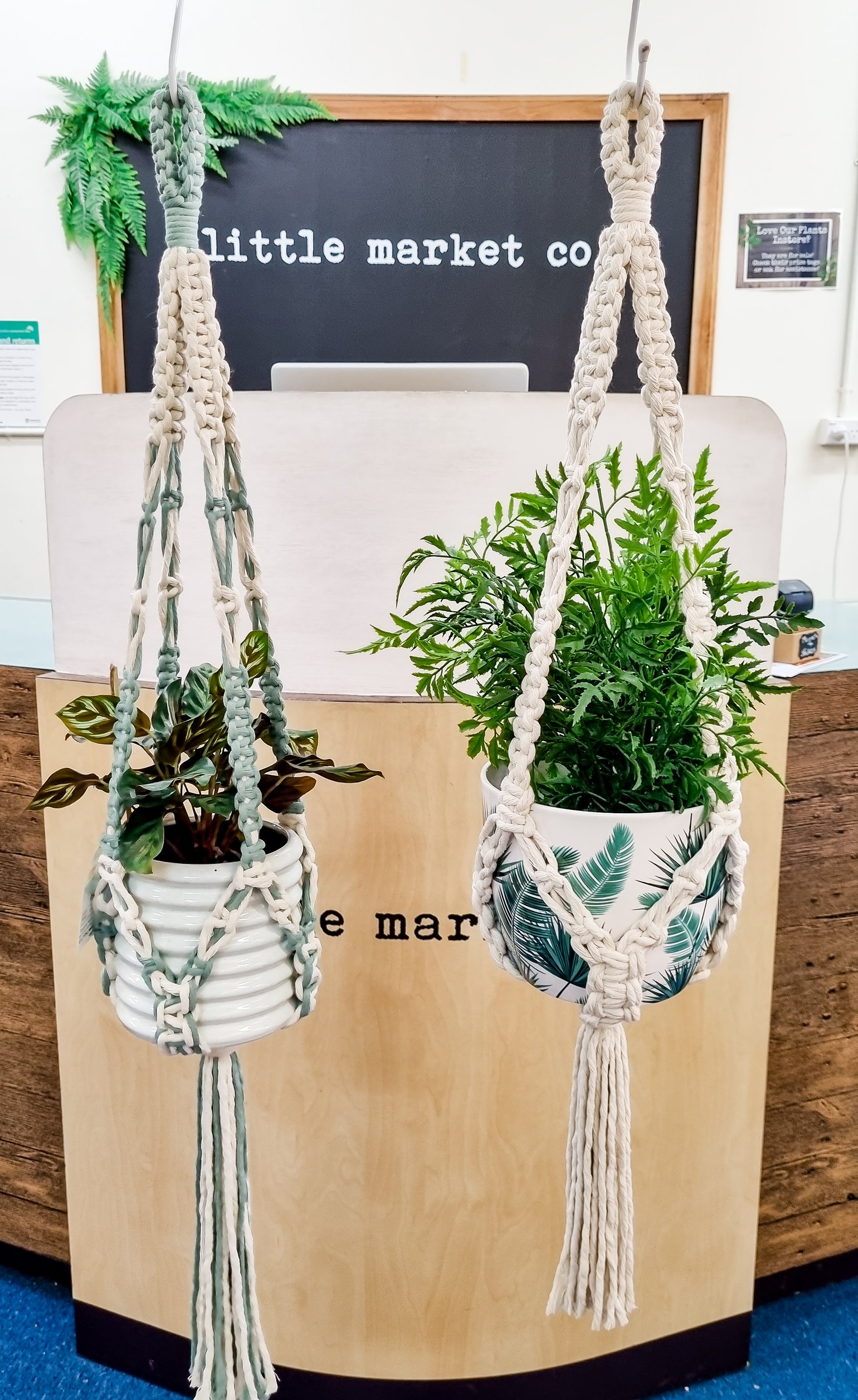 Image of Rustic Macrame Plant Hanger
