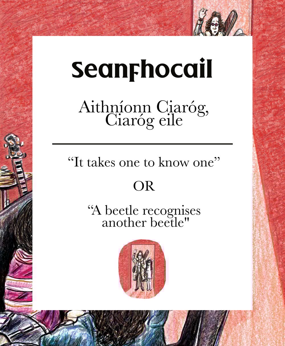 Aithníonn ciaróg ciaróg eile - A4 Print