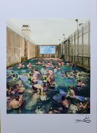 Image 1 of 'Clams in captivity'