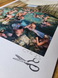 Image 2 of 'Clams in captivity'