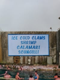 Image 3 of 'Clams in captivity'