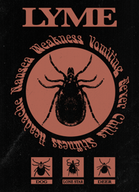 Image 1 of "Lyme Disease" INFORMATION POSTER