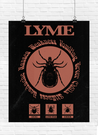 Image 2 of "Lyme Disease" INFORMATION POSTER