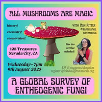 Summer teaching tour 2023 • Nevada City, CA  • All mushrooms are magic