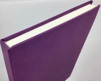 Image 1 of Plan B