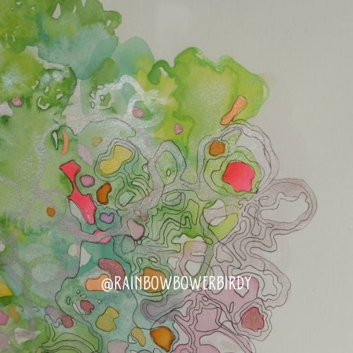 Image of Snail Trails