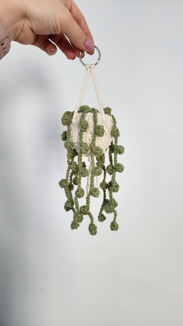 Image of String of Pearls Crochet Car/Office plant