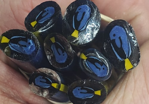 Image of 10 grams Blue Tang Murrine