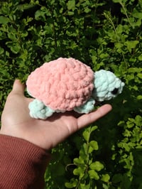 Image 2 of Baby Green and Coral Crochet Turtles